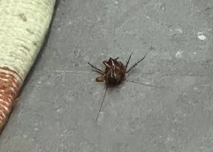 image-20251010232301733