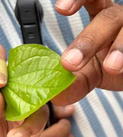 image-20251012110508382