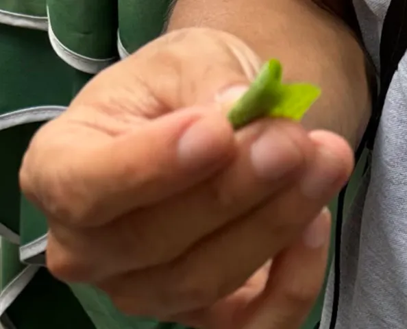 image-20251012110758382