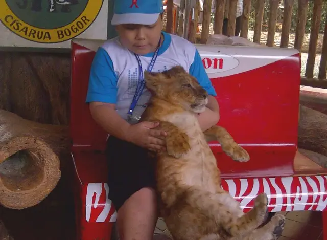 Japan, Depression, What is Life?
