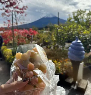 image-20251121062007766