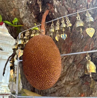 image-20260110124509969