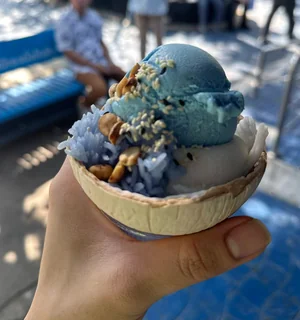 image-20260119224336277