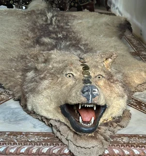 image-20260119224604362