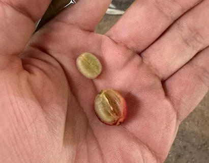 image-20260119233139413