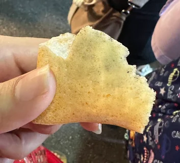 image-20260119234133933